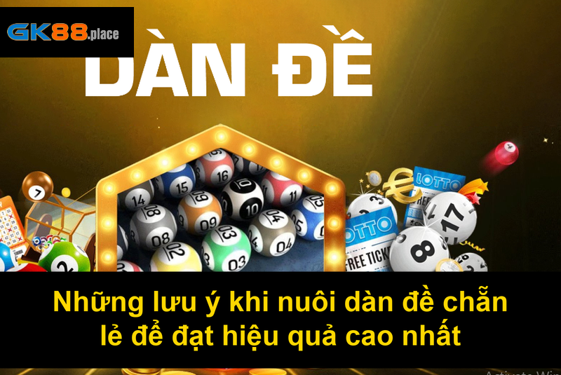Những lưu ý khi nuôi dàn đề chẵn lẻ để đạt hiệu quả cao nhất